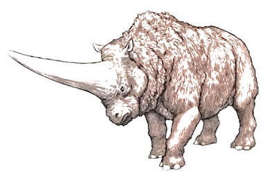 Rhinotosaure