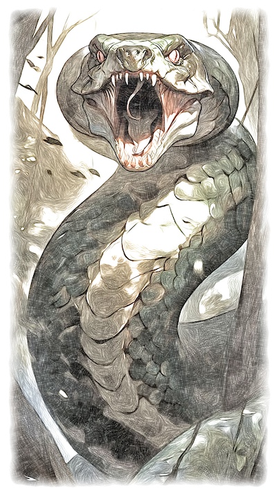 Serpent venimeux géant